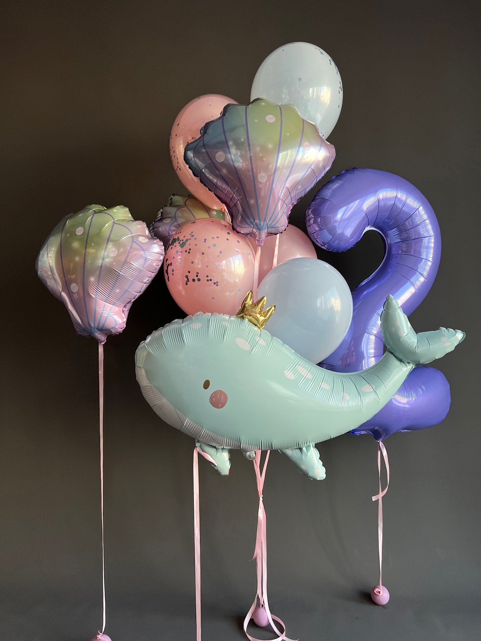 Dolphin and seashells set