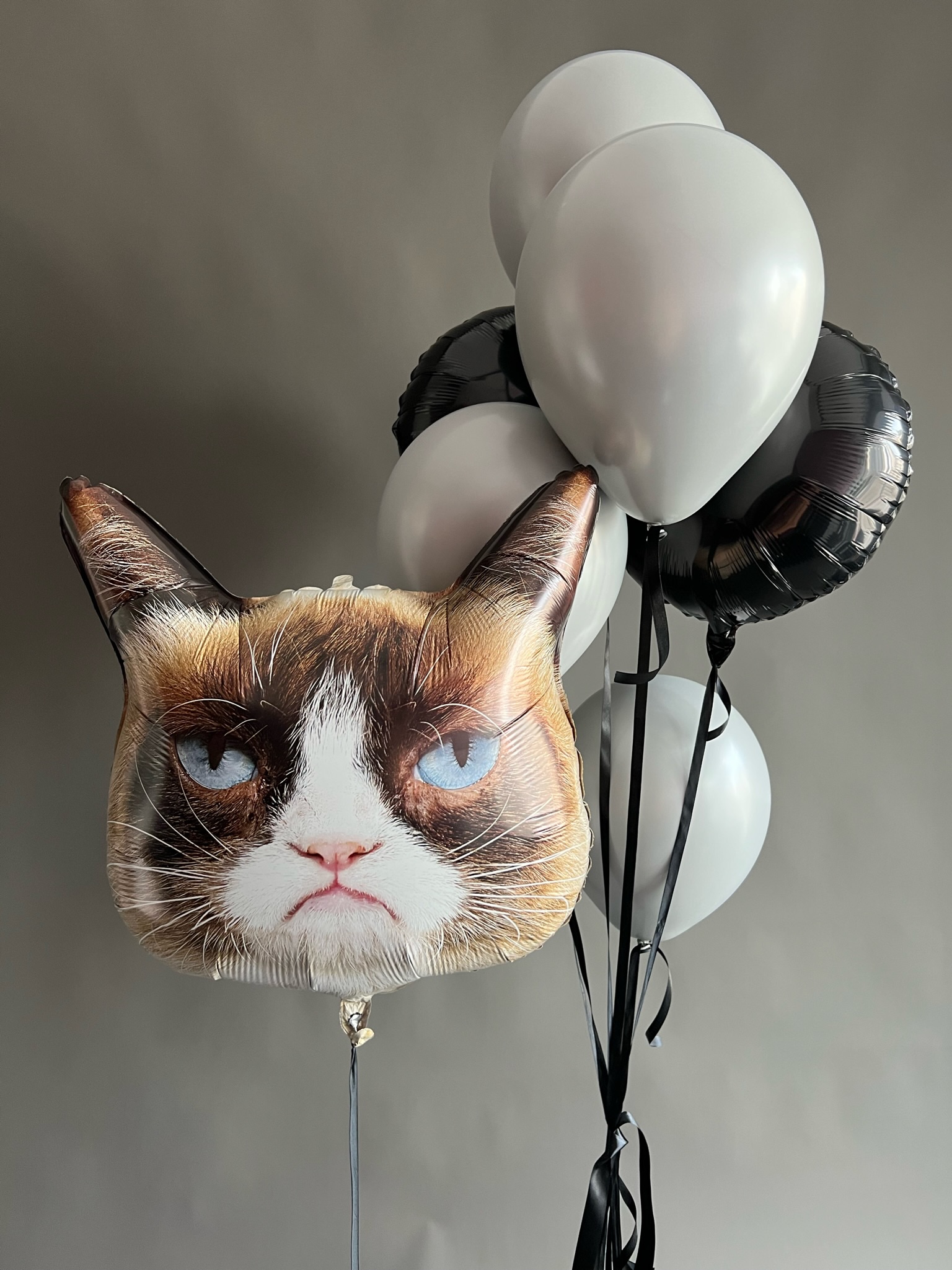 Grumpy Cat Set